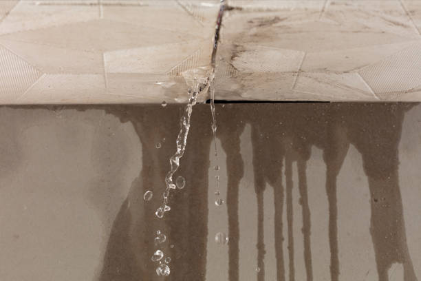 Professional Structural Drying technician working in Midway, WV